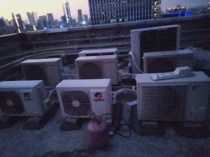 WhatsApp Image 2025-10-07 at 08.50.08 (2)